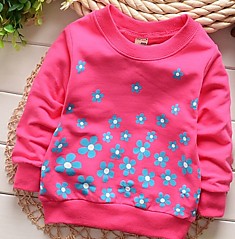 Худи Цветы малин